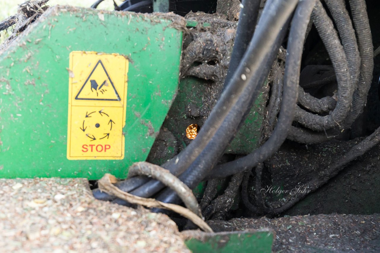 Bild 238 - Maisernte